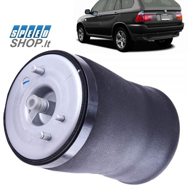BMW X5 (E53) pneumatinė oro pagalvė